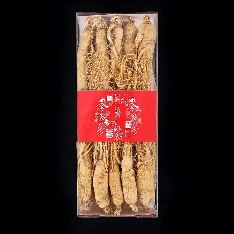 Factory Price High Quality Panax Ginseng Products Ginseng Root