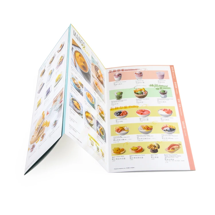 Packaging Eco Friendly Product Foldable Leaflet Print Instruction Manual Printing