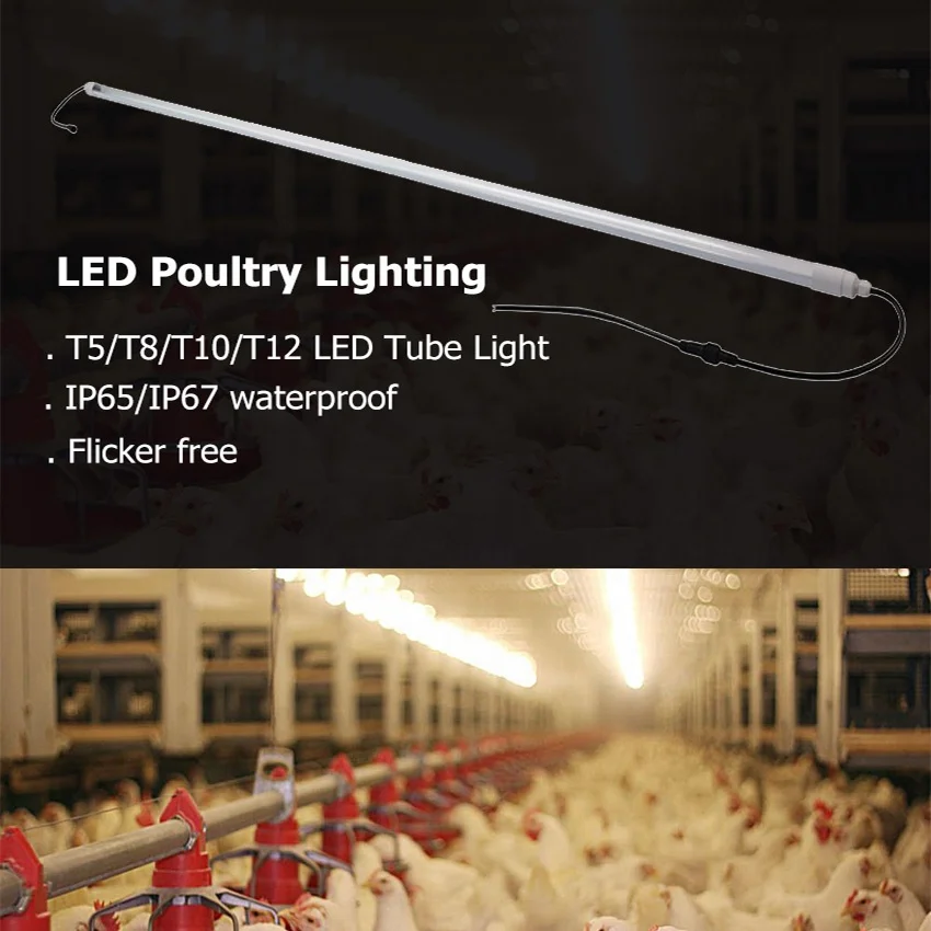 waterproof IP65 Dimmable no flicker T8 LED Poultry Chicken Farm Light for Broiler Poultry