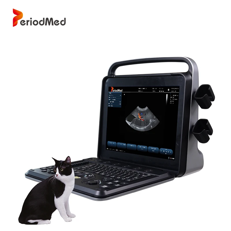 Периодированный Портативный Цветной Допплер выпуклый ветеринарный ультразвук для ветеринара