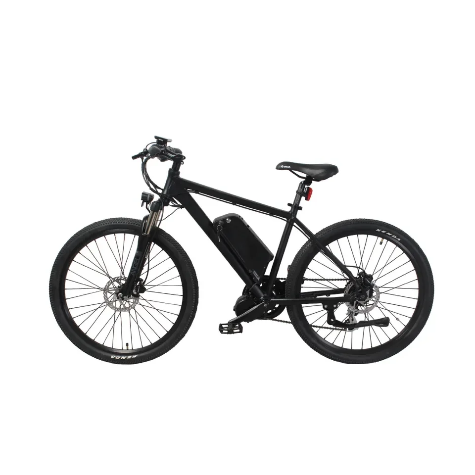 China manufacturer 26 inch 7 speed big battery 36v 250w 48v 500w electric mountain bike with high torque