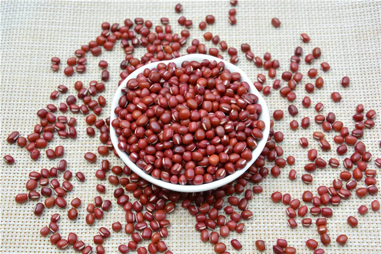 
Wholesale Adzuki Pearl Type Small Round Red Beans 