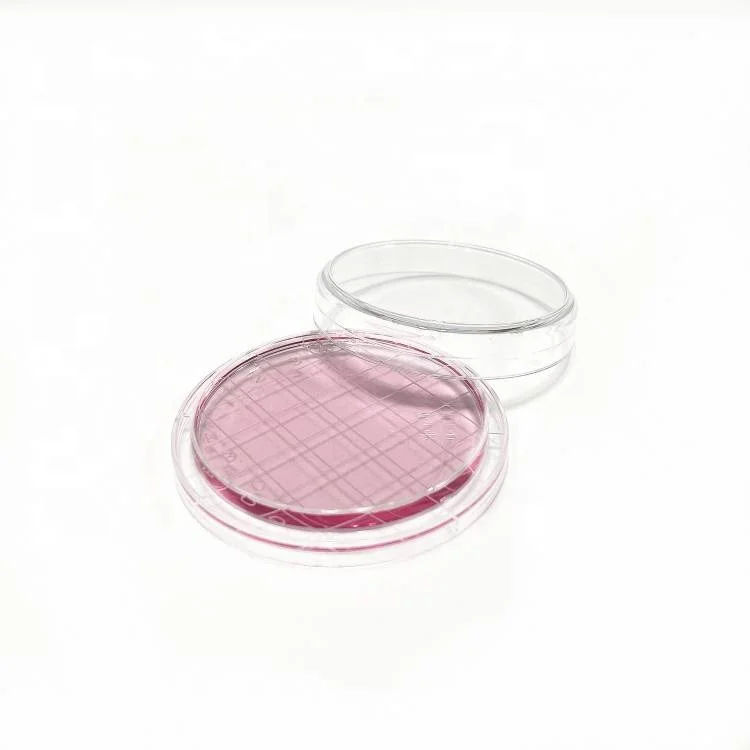 Laboratory Plastic Petri Dishes 75mm in Petri Dish Stand Holder Agar Petri Dishes