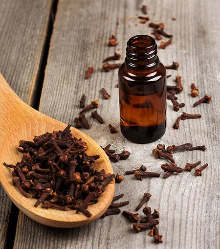 Clove Essential Oil Natural Chemical Product 100% Pure Fast Delivery Best Selling in Daily OEM ODM Private Label