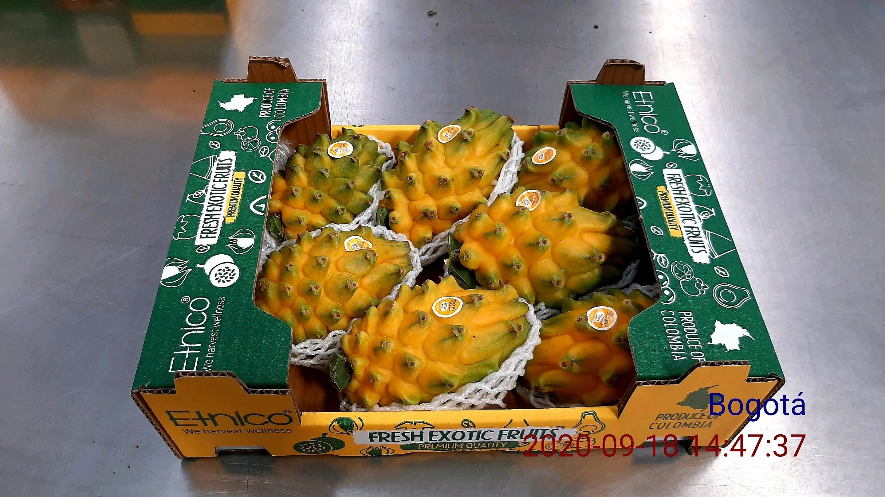  Недорогие свежие фрукты желтого дракона Pitahaya экзотические