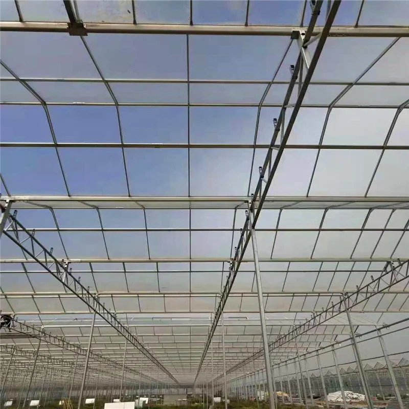 Twin-Wall Polycarbonate (PC) Insulation Sheet for Greenhouse