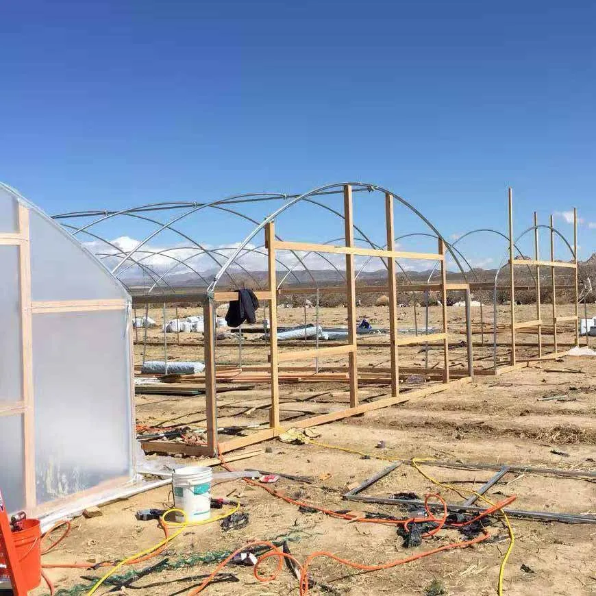 Custom made Gothic HIGH TUNNELS greenhouse China manufacture best snow load Easy installed vegetable green house for sale