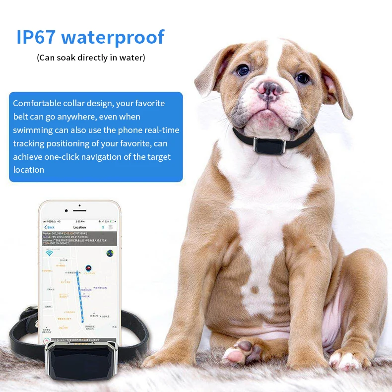 pet locator tracker