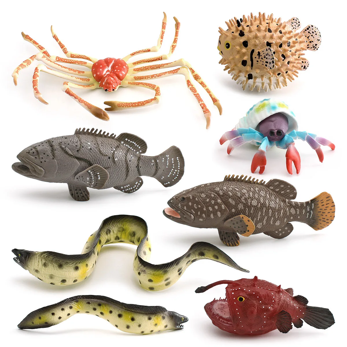 Cross-border Simulation Marine Animal Model Spider River Dolphin Fish Grouper Hermit Crab Moray Eel Ornament Toy