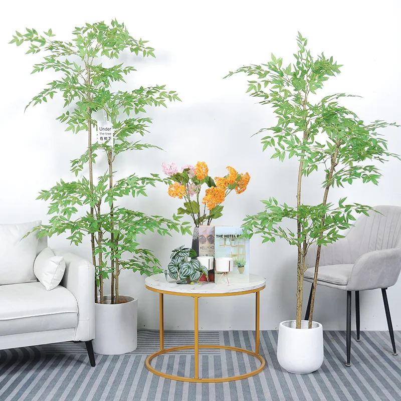 plants26