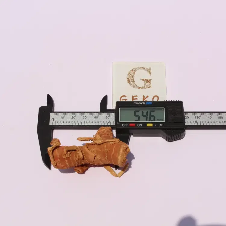 GEKO Food Bulk Wholesales Export Turmeric For Aromatherapy Products Spices