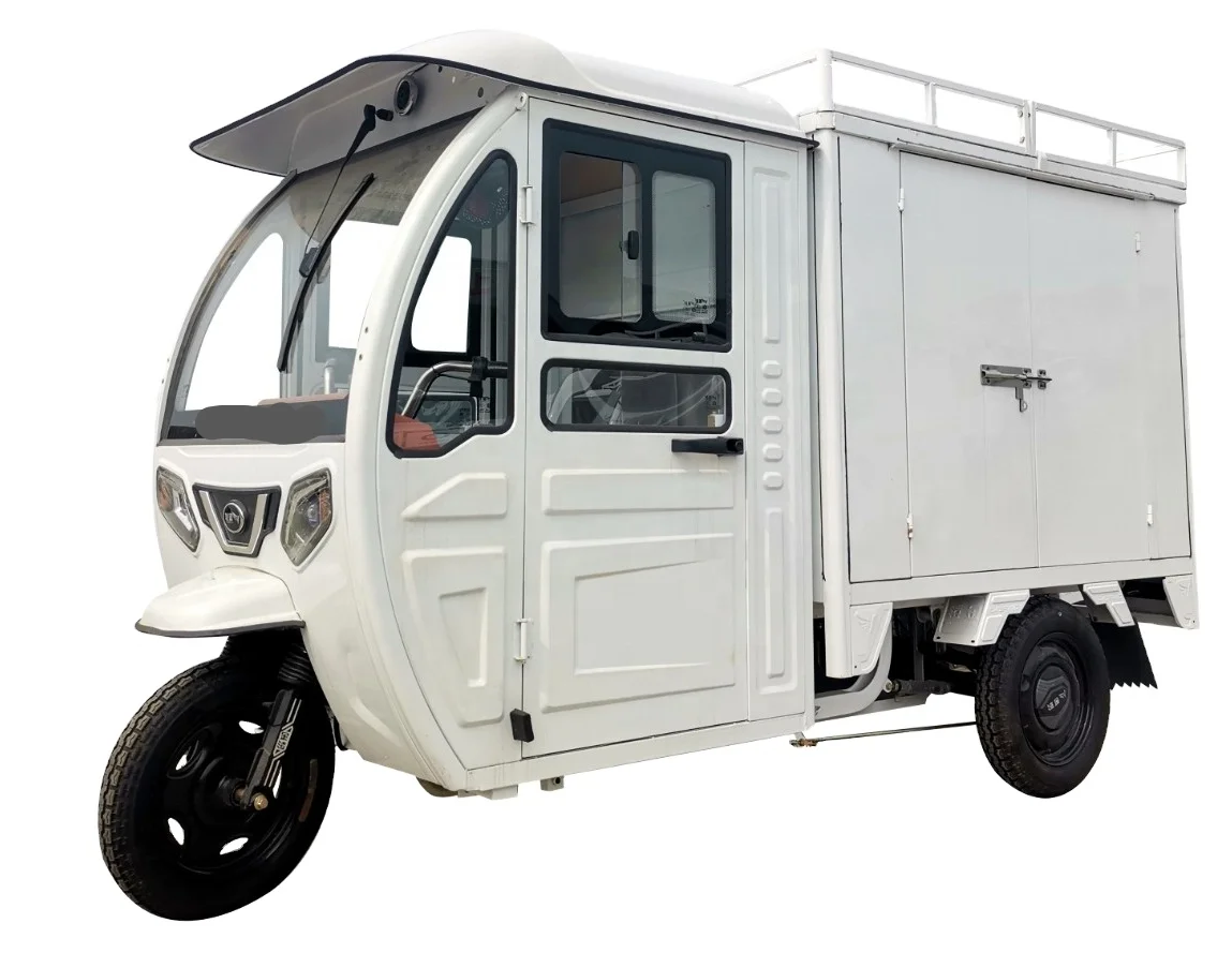 SAIGE E Trike с задней коробкой для доставки на японский рынок