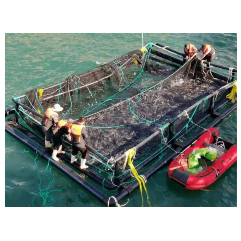polyester fish cage net hdpe fittings fish cage cages for fish hatchery