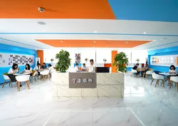 Oem Odm Custom Plus Size Women Clothes Logo Manufacturers Verified Clothing Vendor Supplier