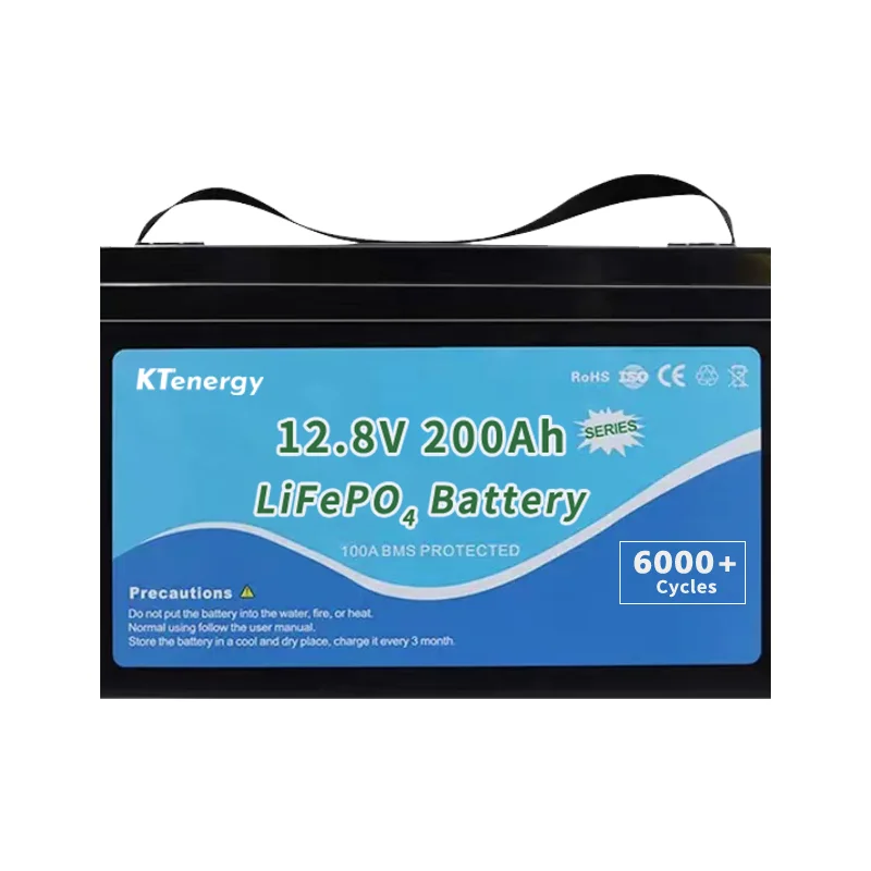 Deep cycle lifepo4 Lithium Iron Phosphate Battery Pack 12v 100ah with bms for RV Electric Car Scooter Motorcycle Boat