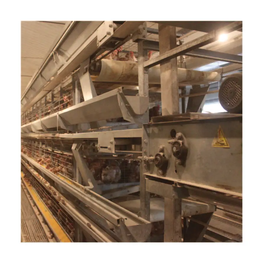 Клетка для птицы