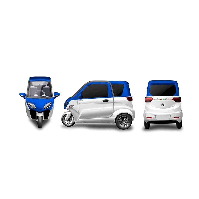 New Electric Car 3 Wheel Electric Full Enclosed Tricycle For Adult