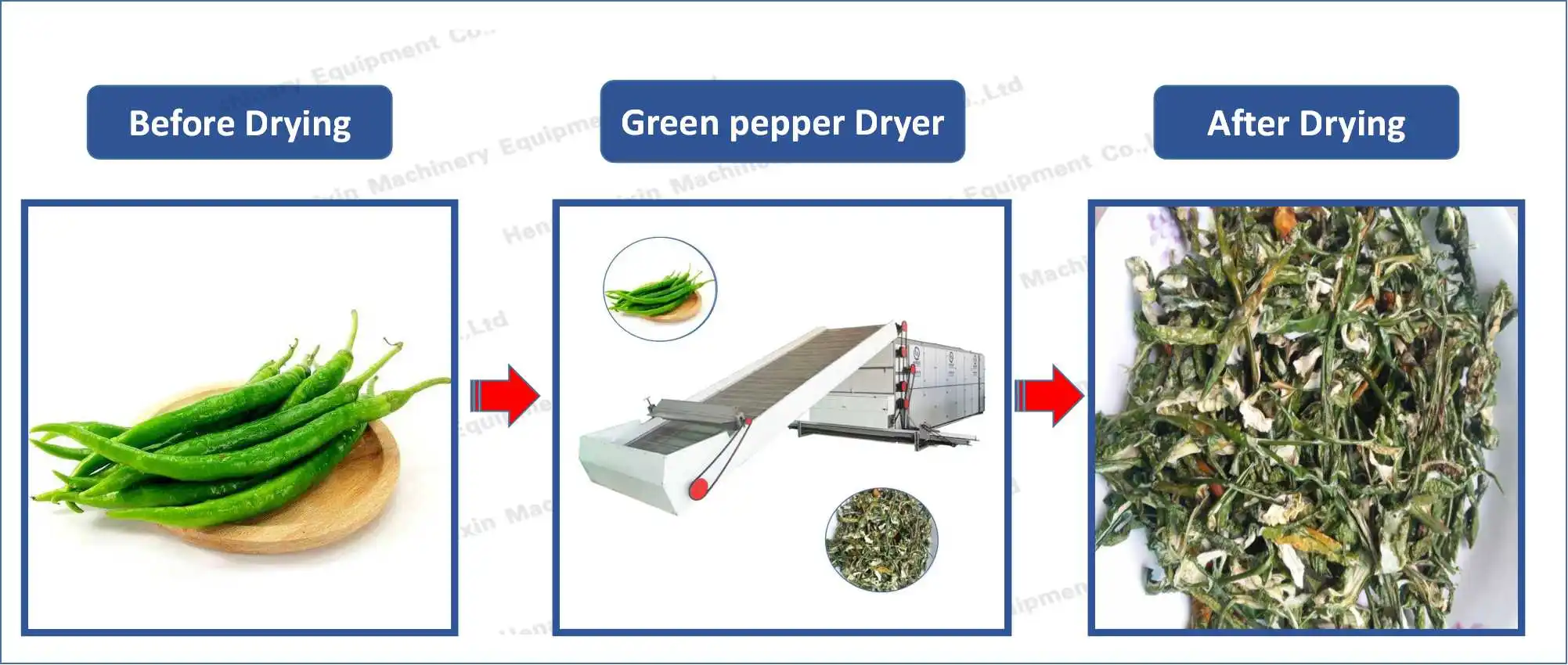 green peeper dryer 