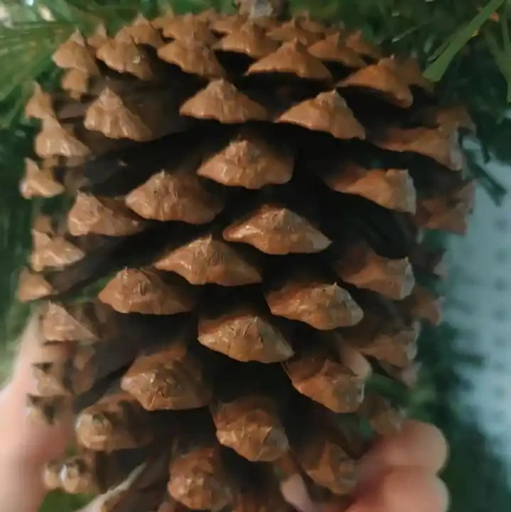 Artificial Green Pine Needle Pvc With Pine Coines Red Berries Xmas Garland For Door Wall Ornaments