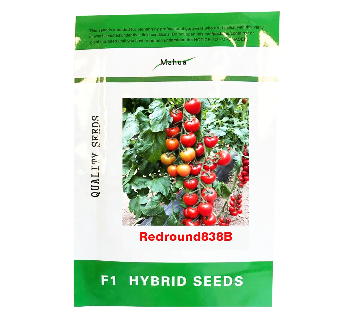 
F1 hybrid tomato seeds plant seeds indoors planting early mature tomato tree rich sources of vitamin C and lycopene 