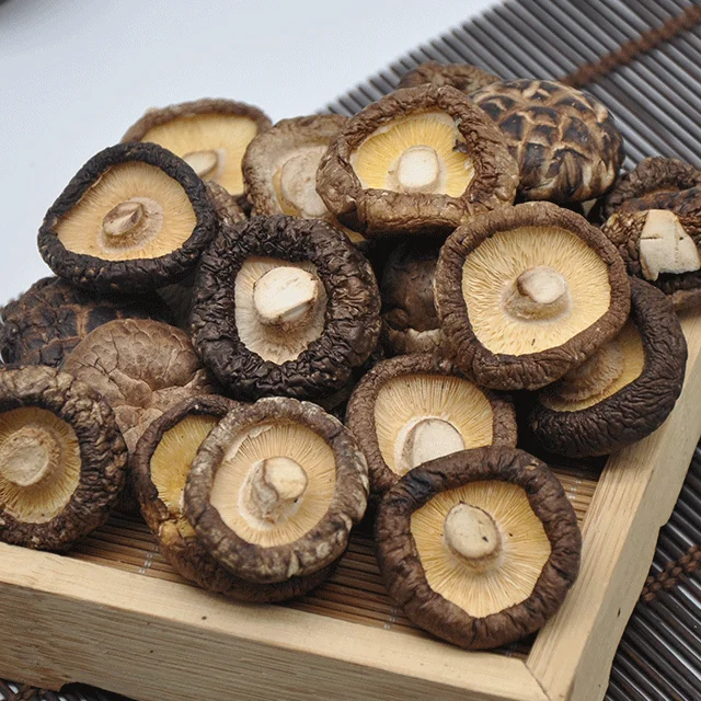 Сухой гриб Shiitake экспорт сухие грибы обезвоженная