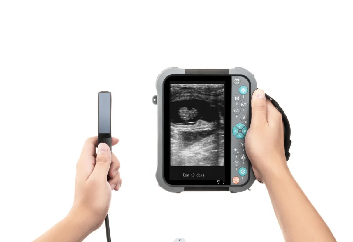 Less than 1kg Fully waterproof IPX5 Pseudo color Multiple channels electrical scanning veterinary ultrasound