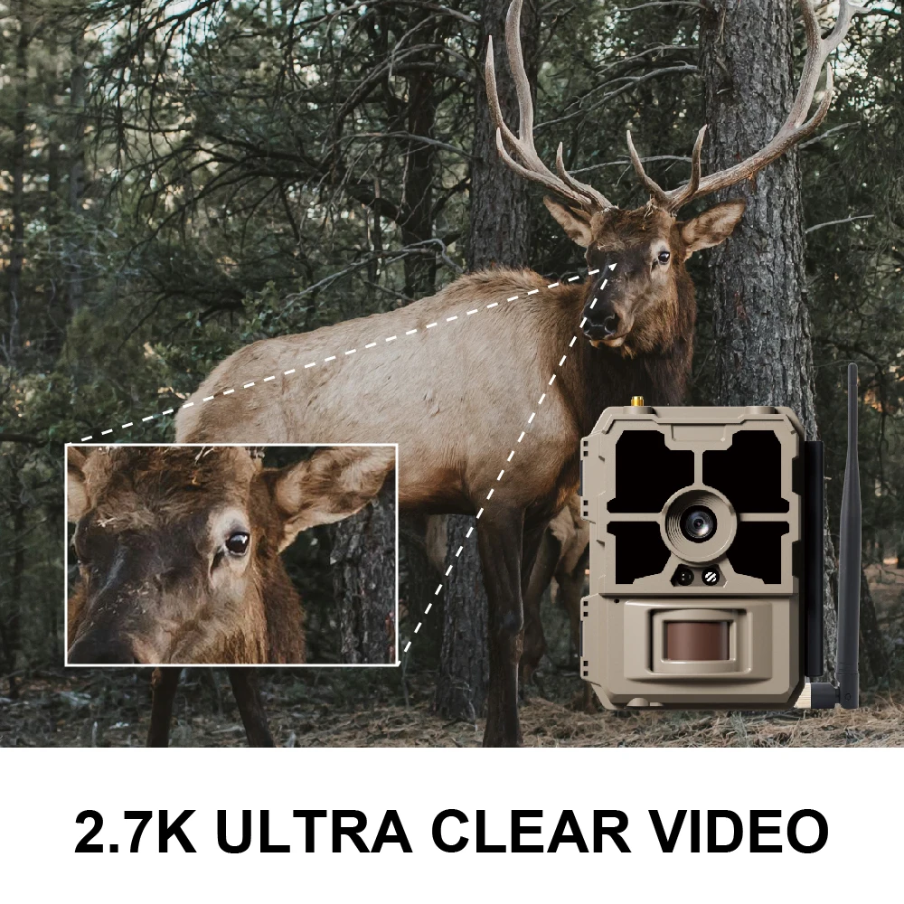 L-Shine Mini Trail Camera Hunting 2.0 Inches Wholesale Hunting Trail Mini Camera Trap Wild Trap Camera 24 Mp Water Proof