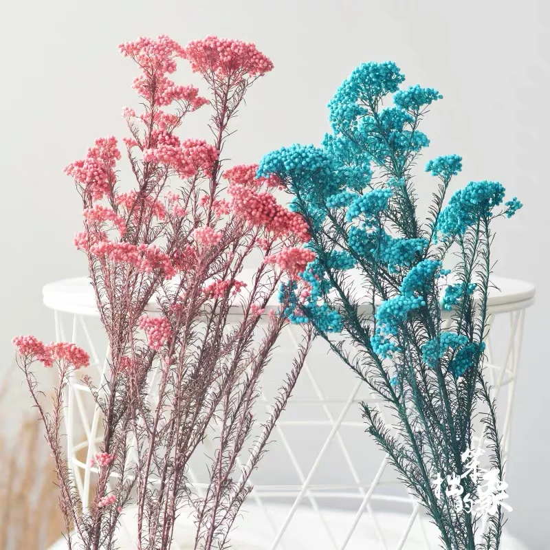 wholesale modern arrangement natural ozothamnus preserved rice flower for mother day flower