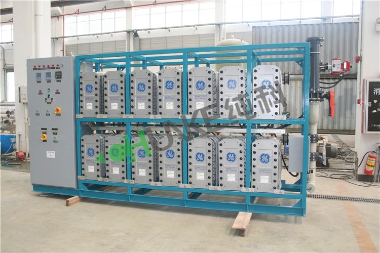 
EDI system water treatment machinery Ultra-pure water for cosmetics factories 