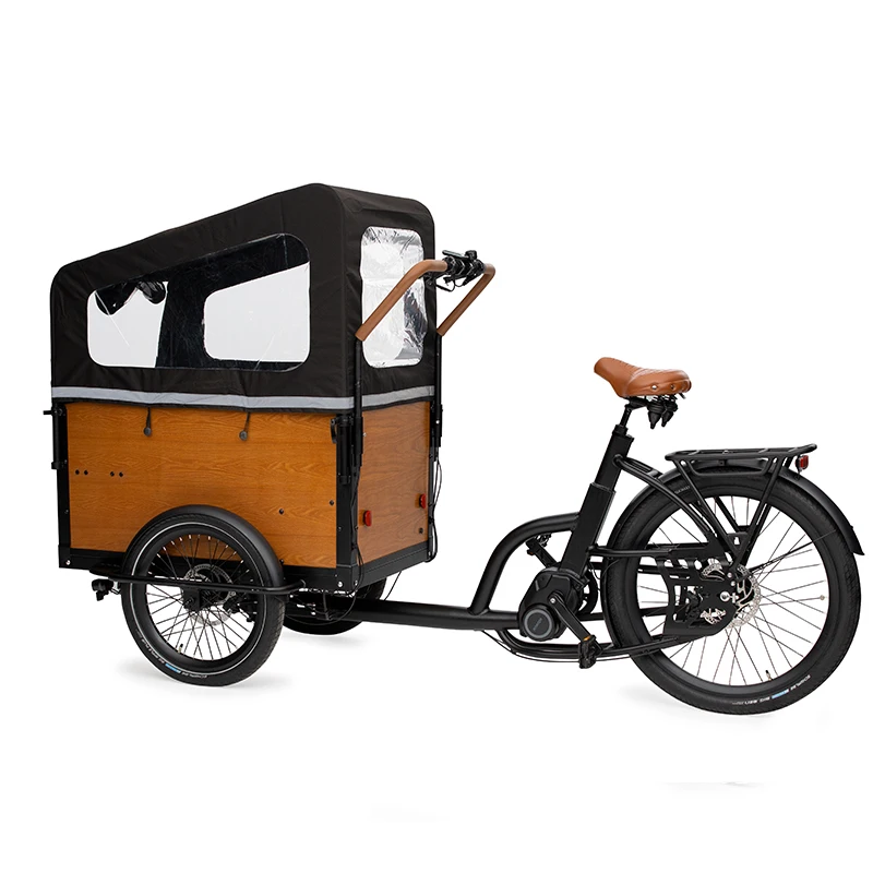 Family Cheap high quality 26 inch 250w 48v motor electric bike 3 wheels