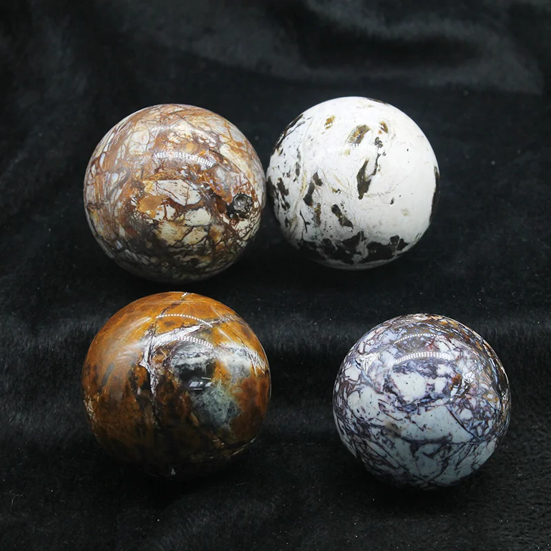 Natural Quartz Ball Patterned Wood Fossil Mineral Spheres For Decoration Fossil Wood Balls