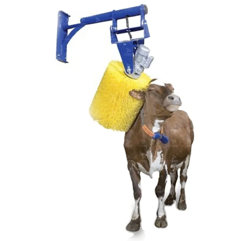 Swing smart cow brush for cattle grooming