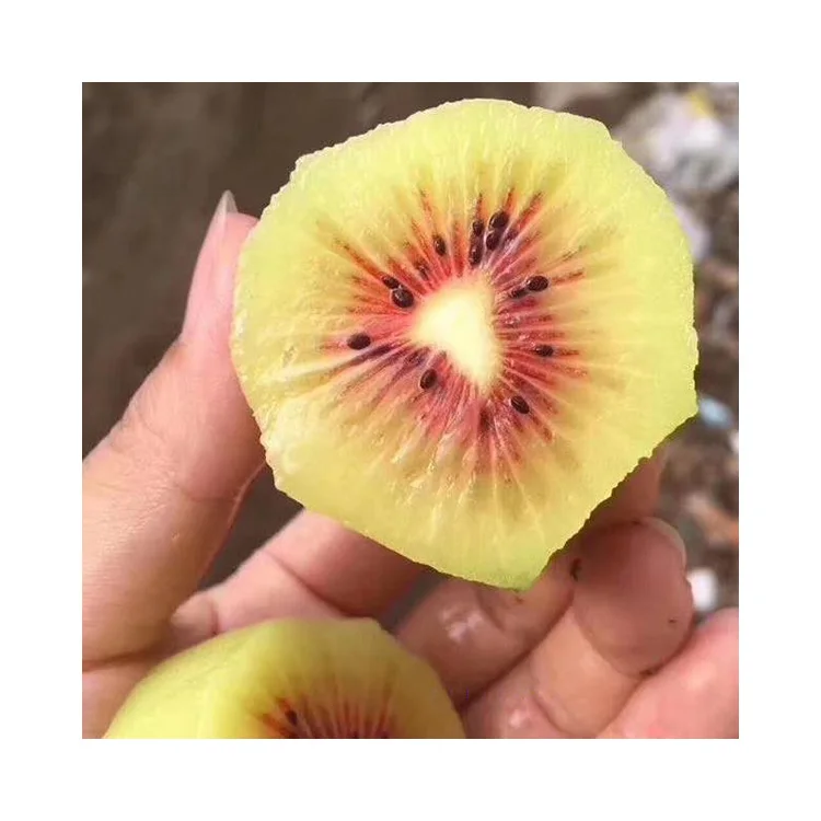 Organic Farm Price High Vitamins C Fresh Kiwi Fruit