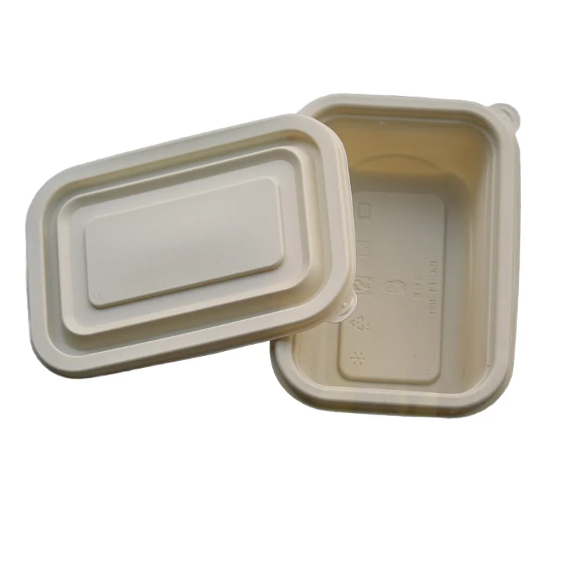 Biodegradable Corn Starch Disposable Lunch Box Takeaway Food Packaging Container for Sushi Baby Food to Go Meals