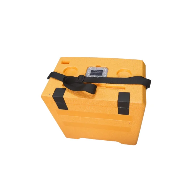 Eco-Friendly and Safe Shipping Epp Insulated Foam Large Cooler Box