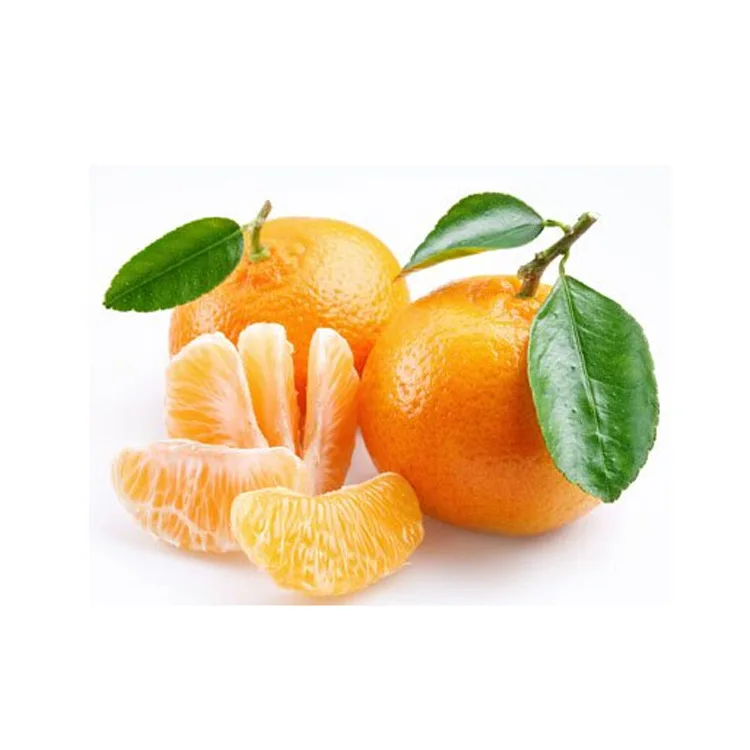 2022 fresh sweet mandarin orange fresh fruit