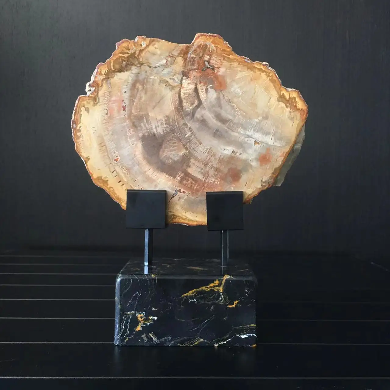 Wholesale natural polished wood fossil slab rough stone slice specimen ,petrified wood piece