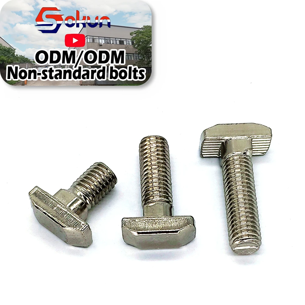 Grade 8.8 Grade 10.9 DIN 913 DIN 186 Hammer Screw M10 Flat T-Head Bolt T Bolt for Roof Rack