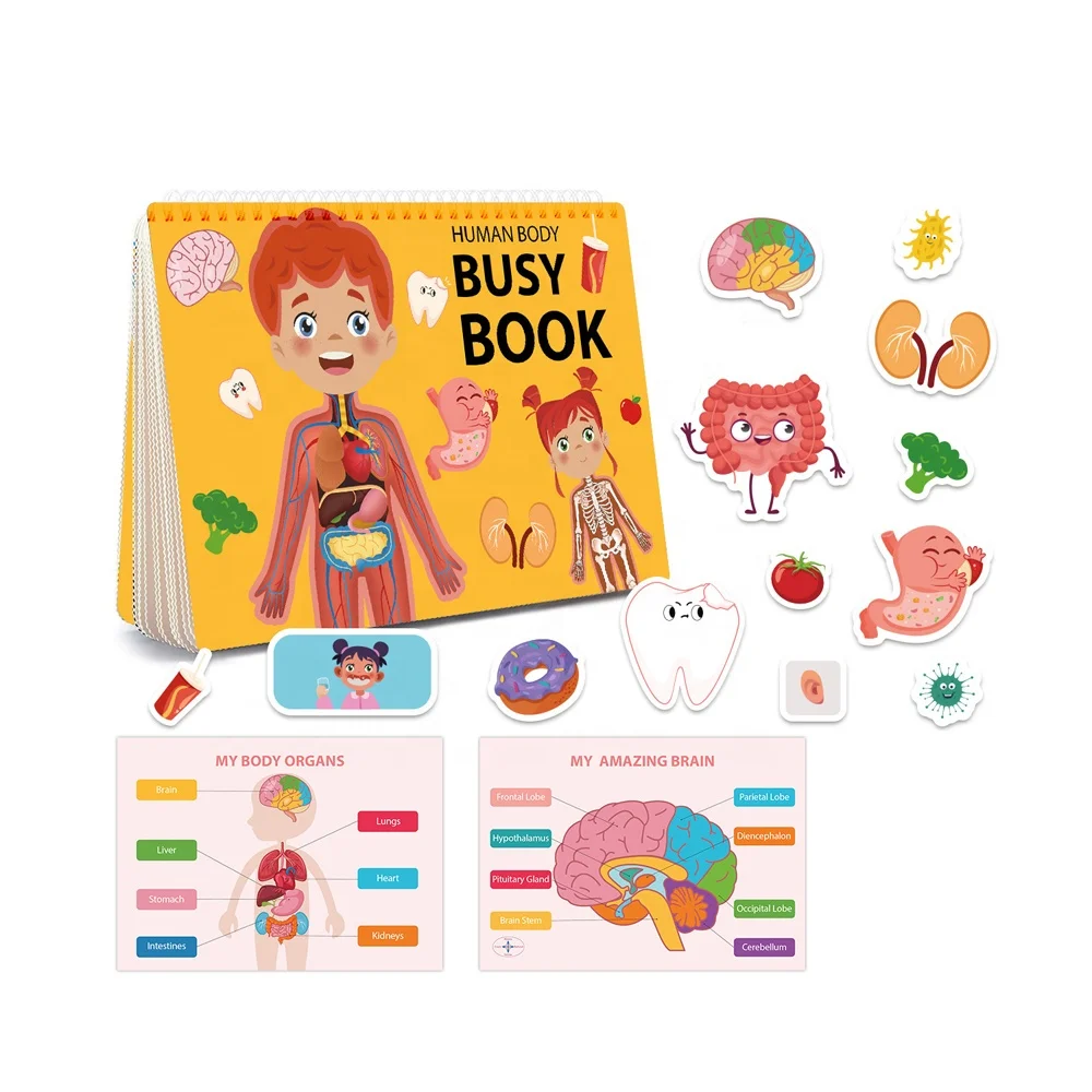 Montessori human body anatomy busy book toy toddlers educational preschool learning activity autism quiet book stickers book set