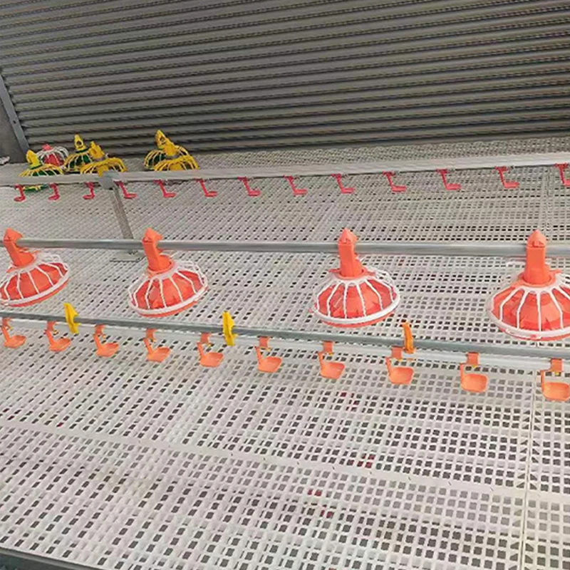 Automatic Feeding System Broiler Chickens New Used Mechanical Chicken Poultry Farm Equipment Steel PP Materials Motor Home Use