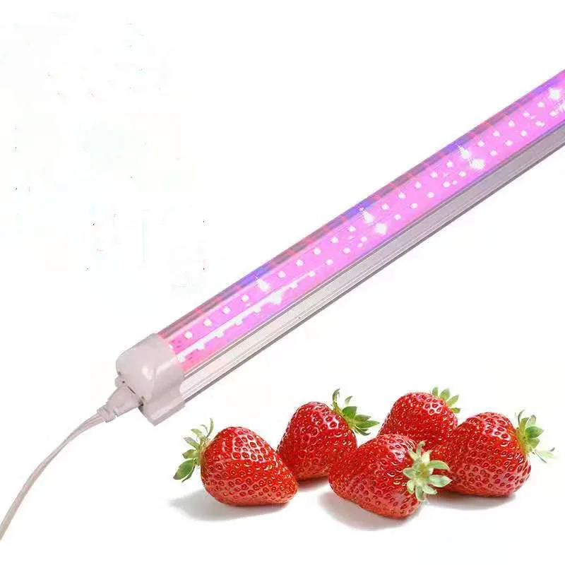 640w LED Grow Light Greenhouse Grow Shop 6000K LED Grow Light