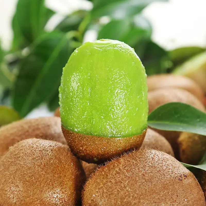 Свежий китайский фрукт зеленый киви сладкий дешевая цена на экспорт