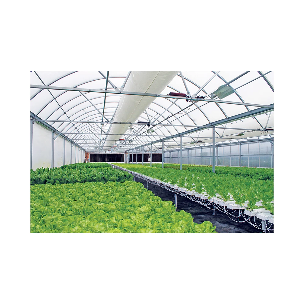 New Listing Saving-water Hydroponics Vegetables  PVC Greenhouse Seed Cultivation Pvc Hydroponic Gutter Supplier