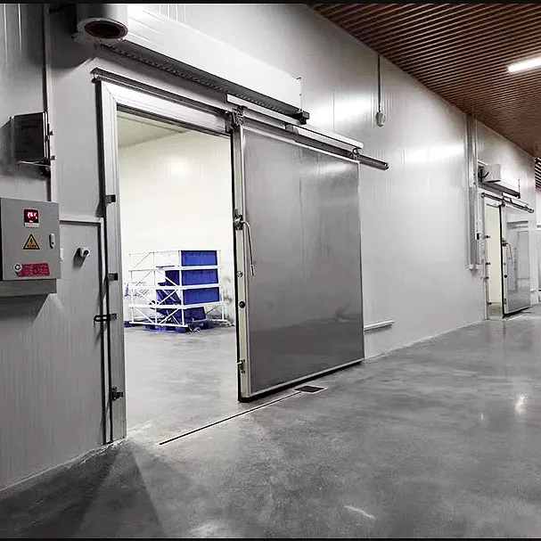 Hot Sale Seafood Freezer Ultra Low Cold Room For Fish  Frozen  Solar Cold Storage Room Blast Chiller