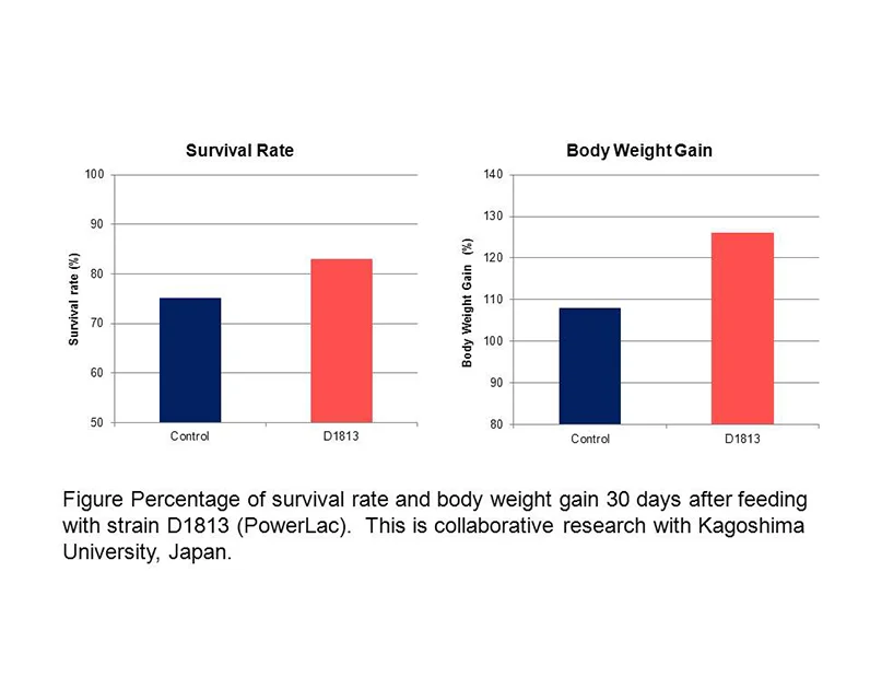 
Additives Enzymatic Activity Bio Aquaculture For Animal Feeds 