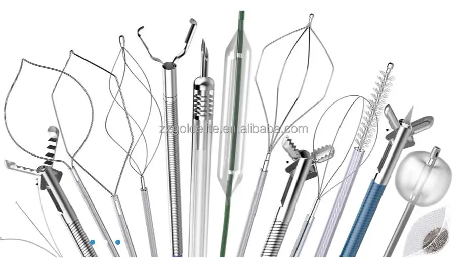 36020220524183329838