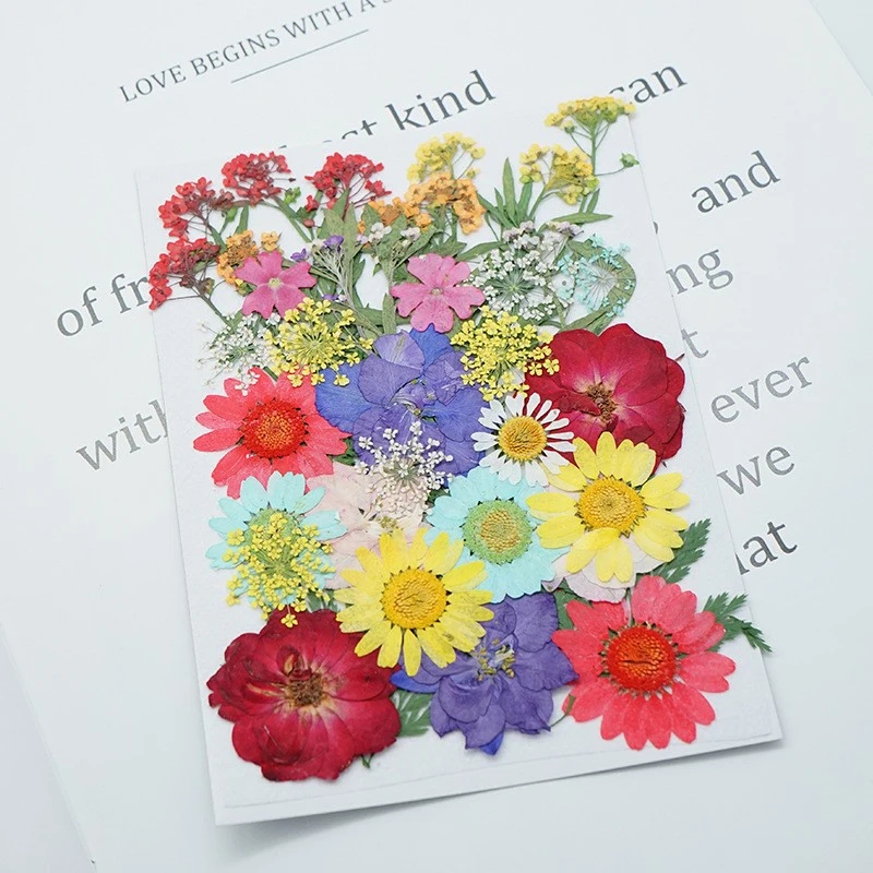 manufacturer wholesale mixed material pack dry pressed flowers for resin