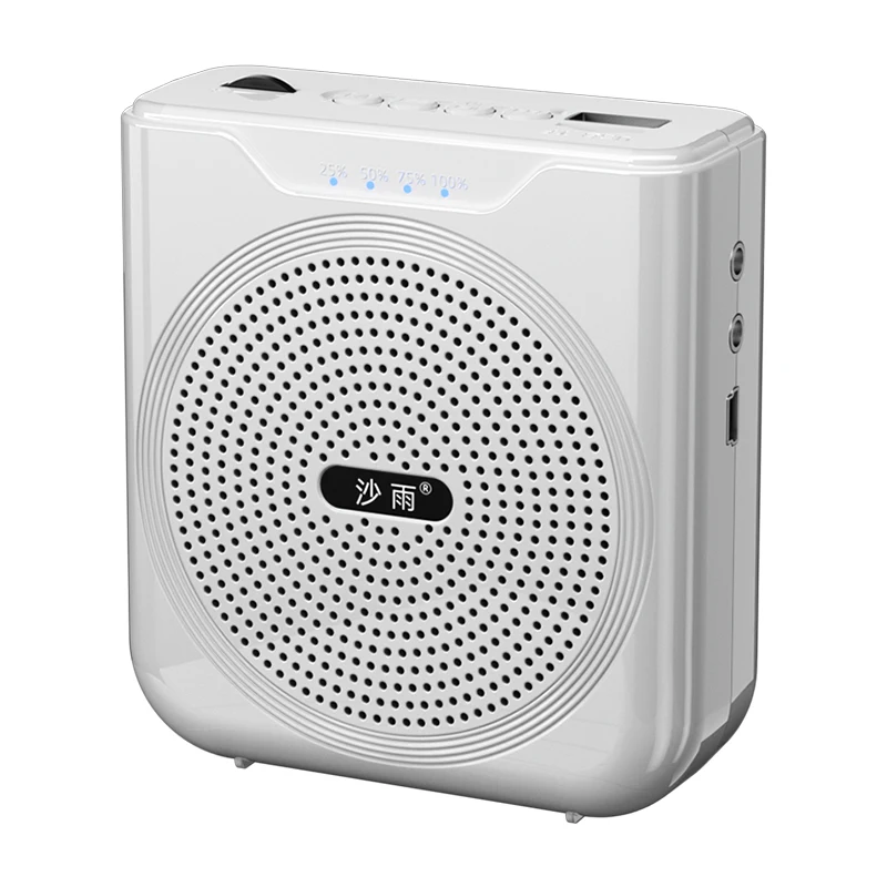 Lavalier Usb Mini Microphone Bluetooth Speakers Small Portable Voice Amplifier Speaker