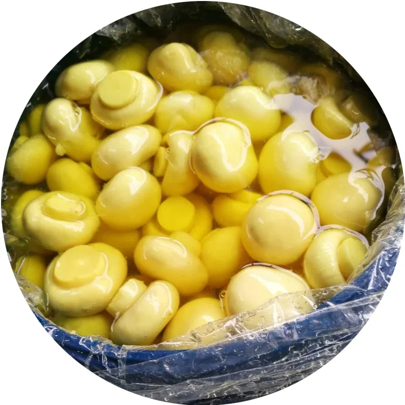 
Champignon mushroom in drums 