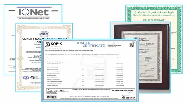 Lutein High quality 10% Lutein Powder Marigold Extract manufacturer supply